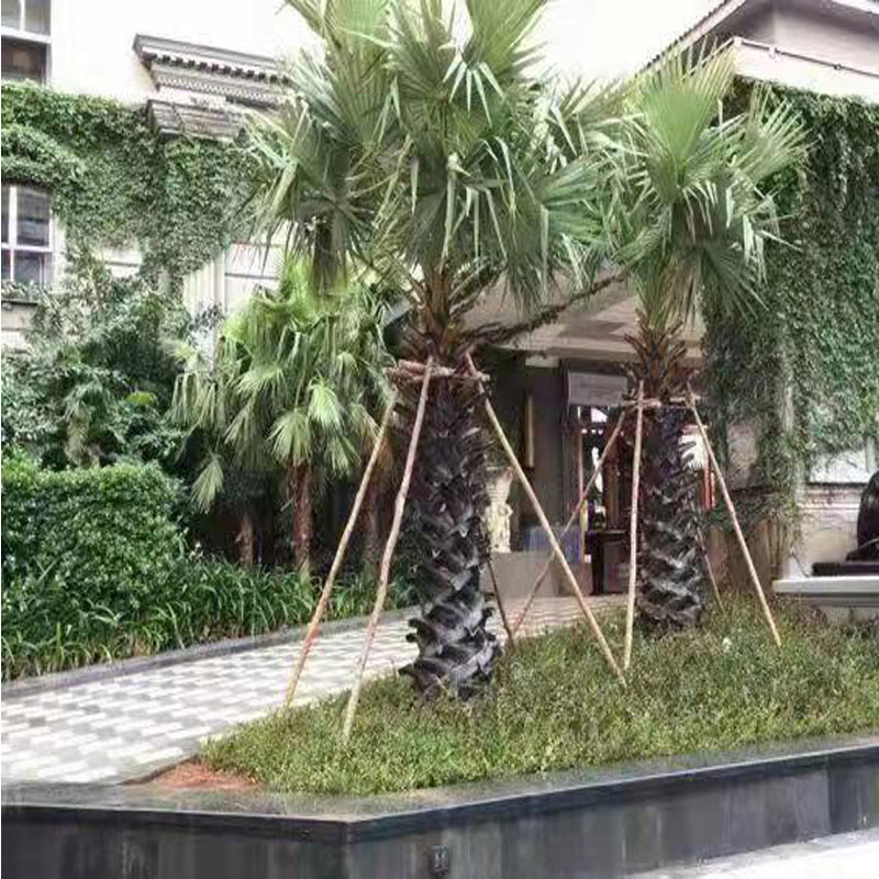  Hainan Landscaping. jpg